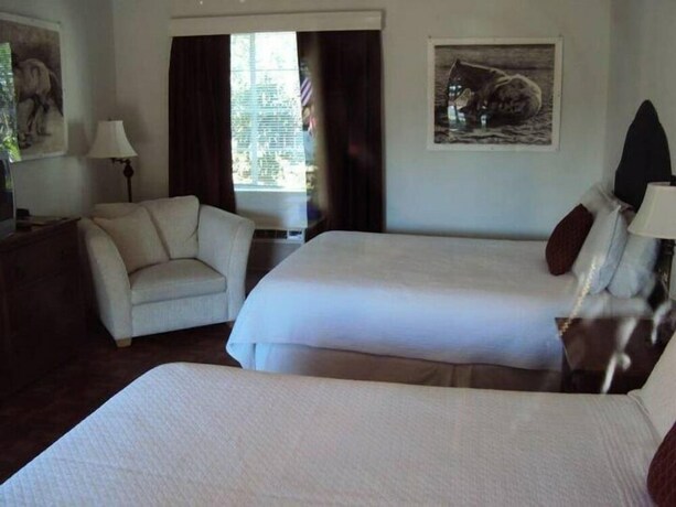 Imagen de la habitación del Motel La Siesta, Tucson. Foto 26