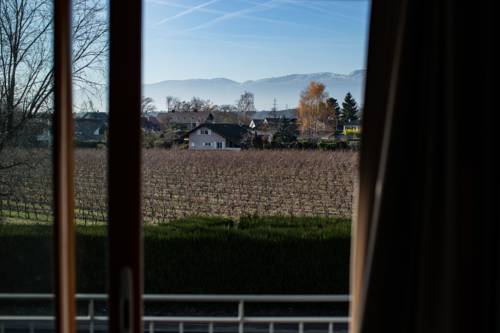 Imagen de la habitación del Motel Le Léman, Commugny. Foto 2
