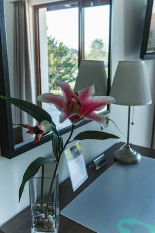 Imagen de la habitación del Motel Le Léman, Commugny. Foto 6