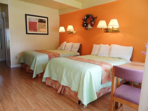 Imagen de la habitación del Motel Lido Lake George. Foto 18