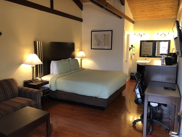 Imagen de la habitación del Motel Lombard Plaza. Foto 12