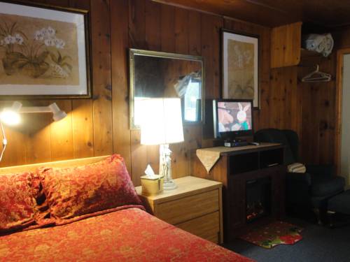 Imagen de la habitación del Motel Magic View. Foto 3