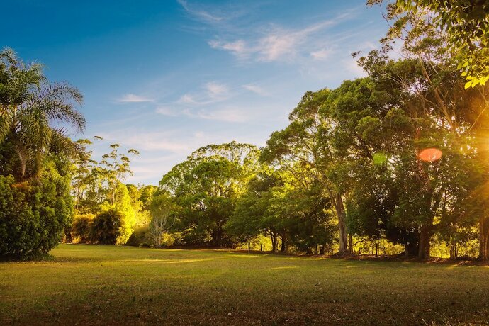 Imagen general del Motel Malanda Lodge. Foto 16