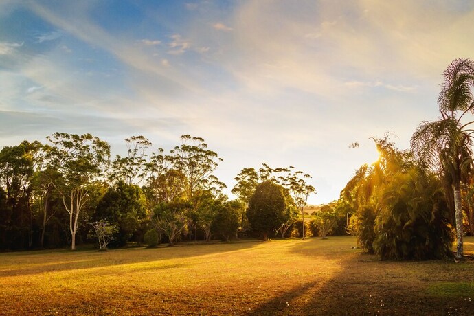 Imagen de los exteriores del Motel Malanda Lodge. Foto 23