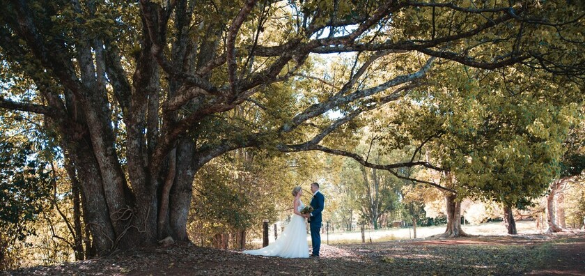 Imagen de los exteriores del Motel Malanda Lodge. Foto 24