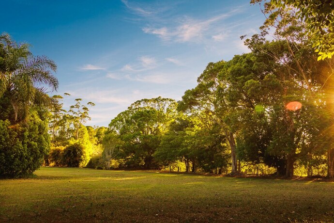 Imagen de los exteriores del Motel Malanda Lodge. Foto 25