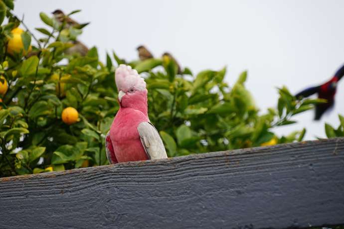Imagen de los exteriores del Motel Marengo. Foto 11