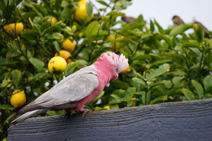 Imagen de los exteriores del Motel Marengo. Foto 12