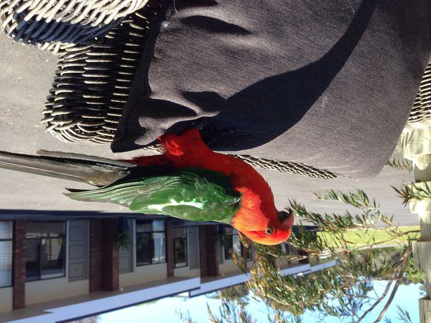 Imagen de los exteriores del Motel Marengo. Foto 13