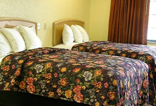 Imagen de la habitación del Motel Matador. Foto 1
