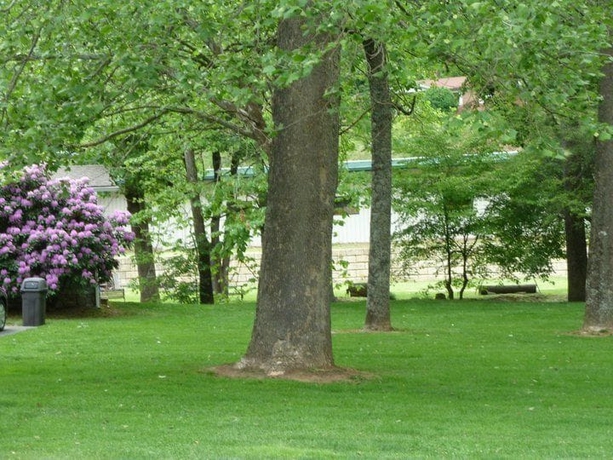 Imagen de los exteriores del Motel Meadowlark. Foto 16