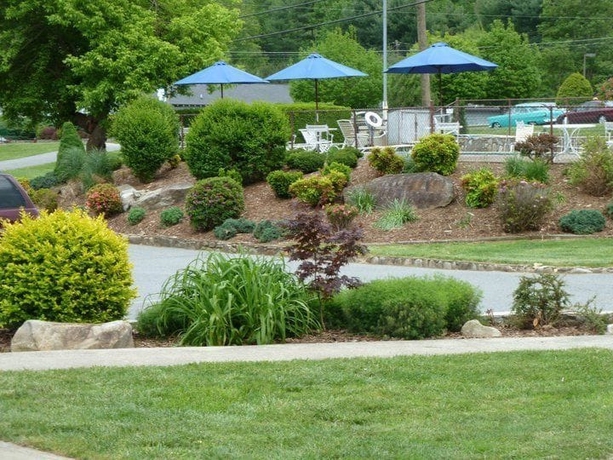 Imagen de los exteriores del Motel Meadowlark. Foto 17