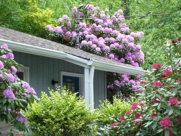 Imagen de los exteriores del Motel Meadowlark. Foto 18