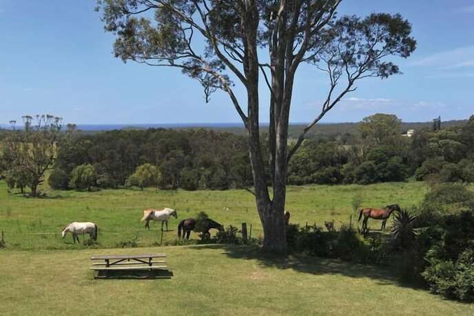 Imagen de los exteriores del Motel Milton Village. Foto 20