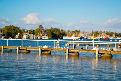 Imagen de la habitación del Motel Moby Dick Waterfront Resort. Foto 5