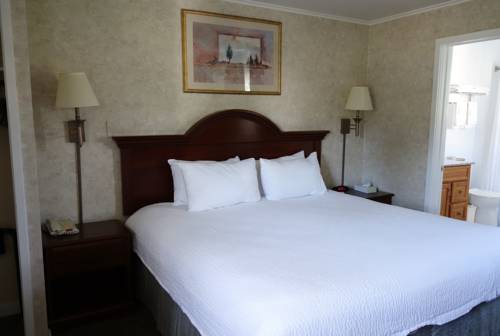 Imagen de la habitación del Motel Monument Mountain. Foto 10