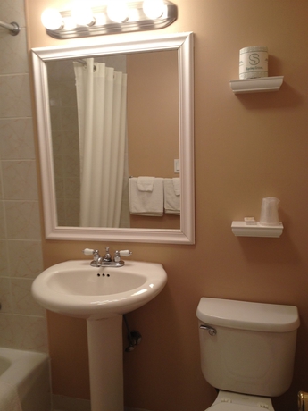 Imagen de la habitación del Motel Moonlite Niagara Falls. Foto 8