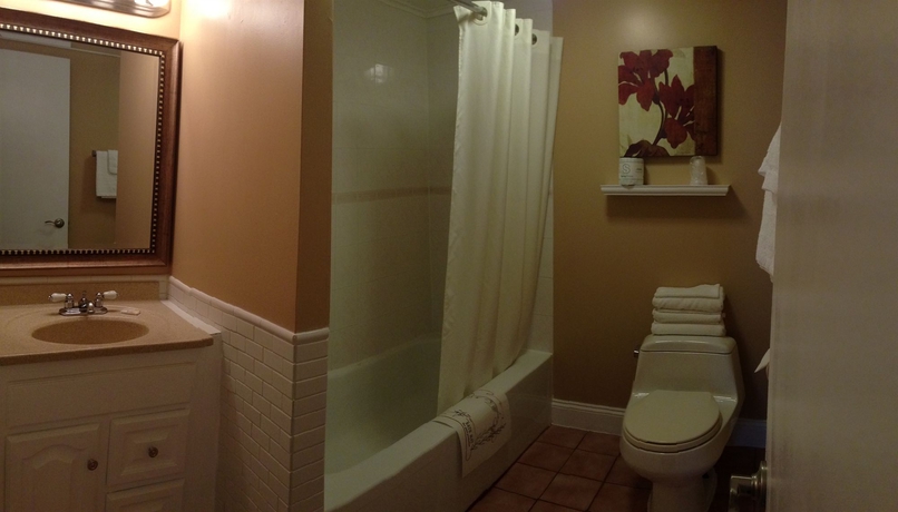 Imagen de la habitación del Motel Moonlite Niagara Falls. Foto 10