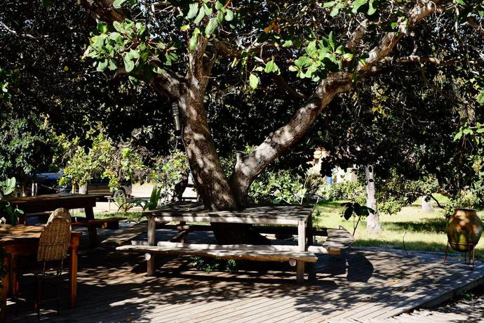 Imagen de los interiores del Motel Mozambeat. Foto 4