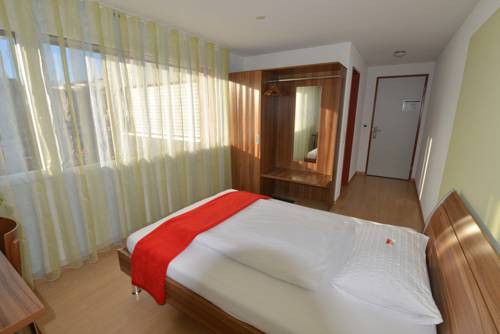 Imagen de la habitación del Motel M&uuml;hle, Schindellegi. Foto 7