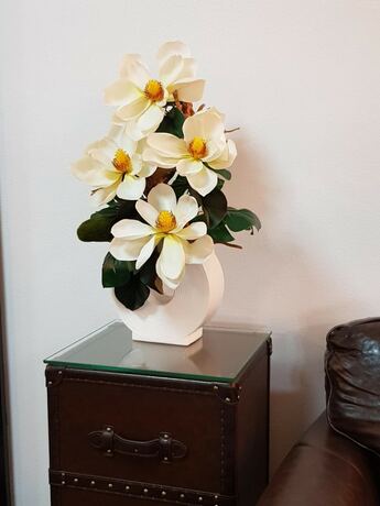 Imagen general del Motel Opal Ridge. Foto 17