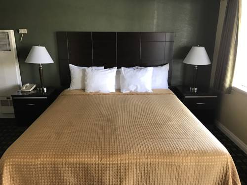 Imagen de la habitación del Motel Palm Tropics. Foto 3