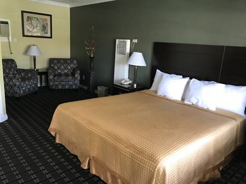 Imagen de la habitación del Motel Palm Tropics. Foto 10