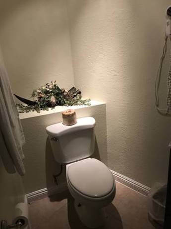 Imagen de la habitación del Motel Palm Tropics. Foto 12