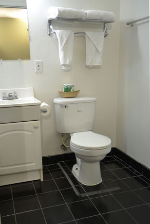 Imagen de la habitación del Motel Palms, Portland. Foto 7