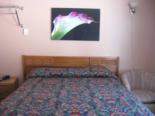 Imagen de la habitación del Motel Pal's. Foto 9