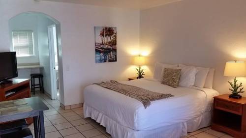 Imagen de la habitación del Motel Patriots Boutique. Foto 2