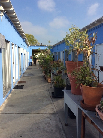 Imagen general del Motel Pavilions. Foto 3