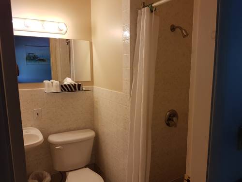 Imagen de la habitación del Motel Pinecone, Sussex. Foto 7