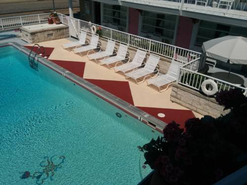 Imagen de la habitación del Motel Pink Champagne. Foto 2