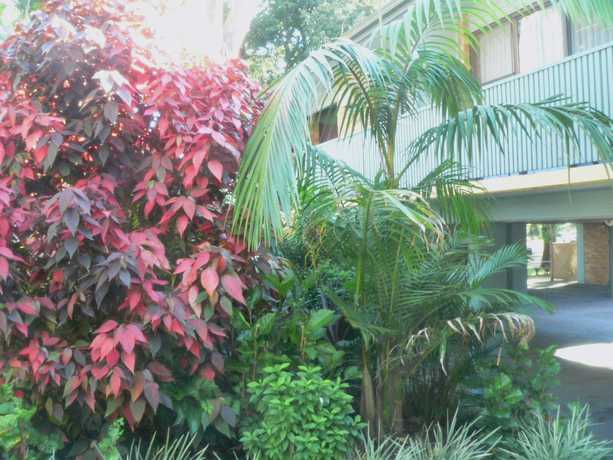 Imagen general del Motel Port Stephens. Foto 2