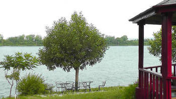Imagen de los exteriores del Motel Rideau. Foto 9
