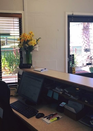 Imagen de los interiores del Motel Roma, Roma. Foto 19