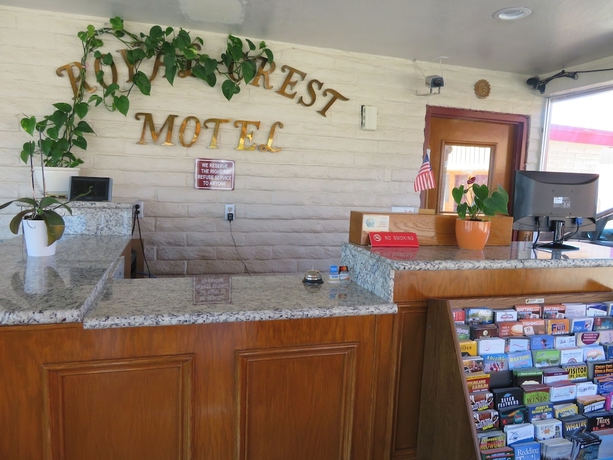Imagen de los interiores del Motel Royal Crest. Foto 18