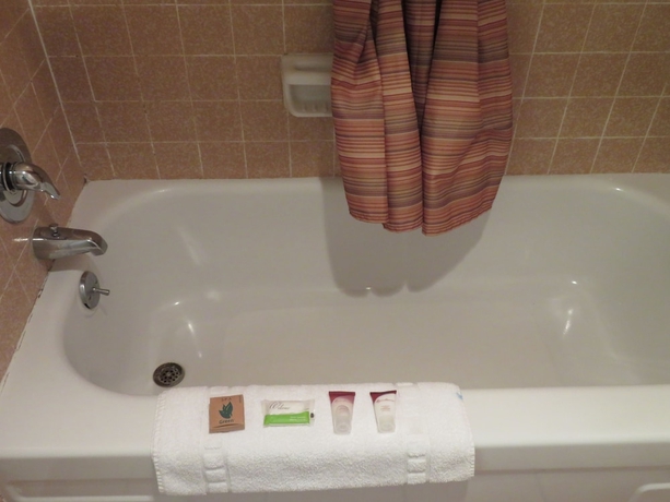 Imagen de la habitación del Motel Royal Crest. Foto 10
