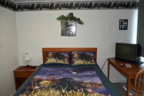 Imagen de la habitación del Motel Royals Inn. Foto 1