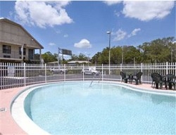 Imagen de la piscina del Motel SUPER 8 TAMPA. Foto 9