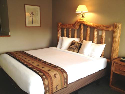 Imagen de la habitación del Motel Sandman. Foto 5