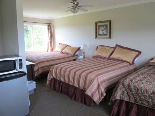 Imagen de la habitación del Motel Scenic Moncton. Foto 9