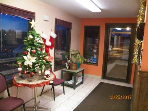 Imagen general del Motel Scotwood. Foto 2