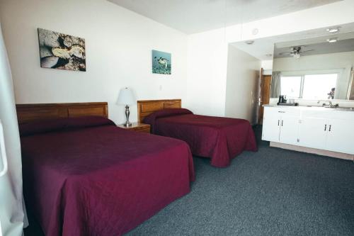 Imagen general del Motel Sea Sprite Beach Club. Foto 3