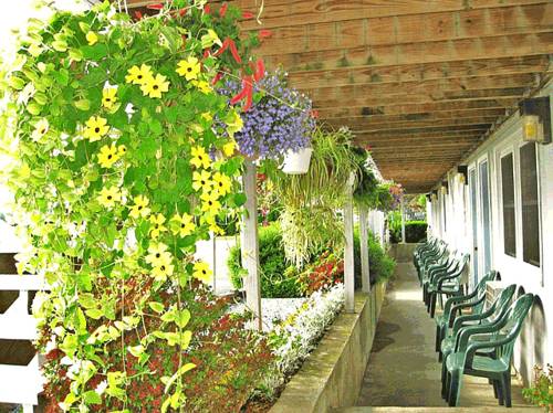 Imagen de la habitación del Motel Sea Whale. Foto 3