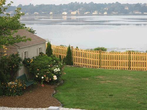 Imagen de la habitación del Motel Sea Whale. Foto 4