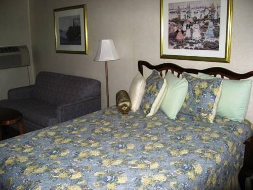 Imagen de la habitación del Motel Sea Whale. Foto 8