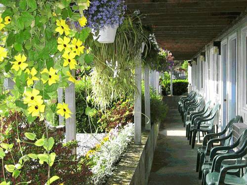 Imagen de la habitación del Motel Sea Whale. Foto 16