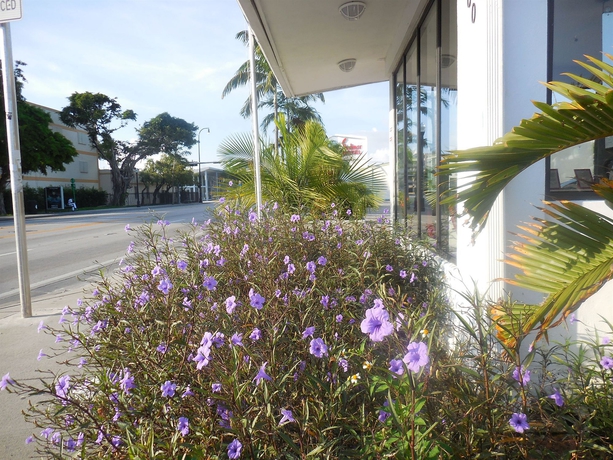 Imagen de los exteriores del Motel Shalimar, Miami. Foto 10